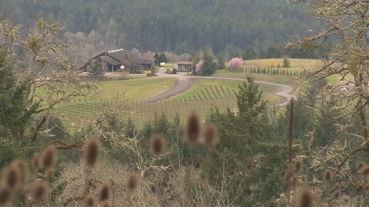 Cho Wines